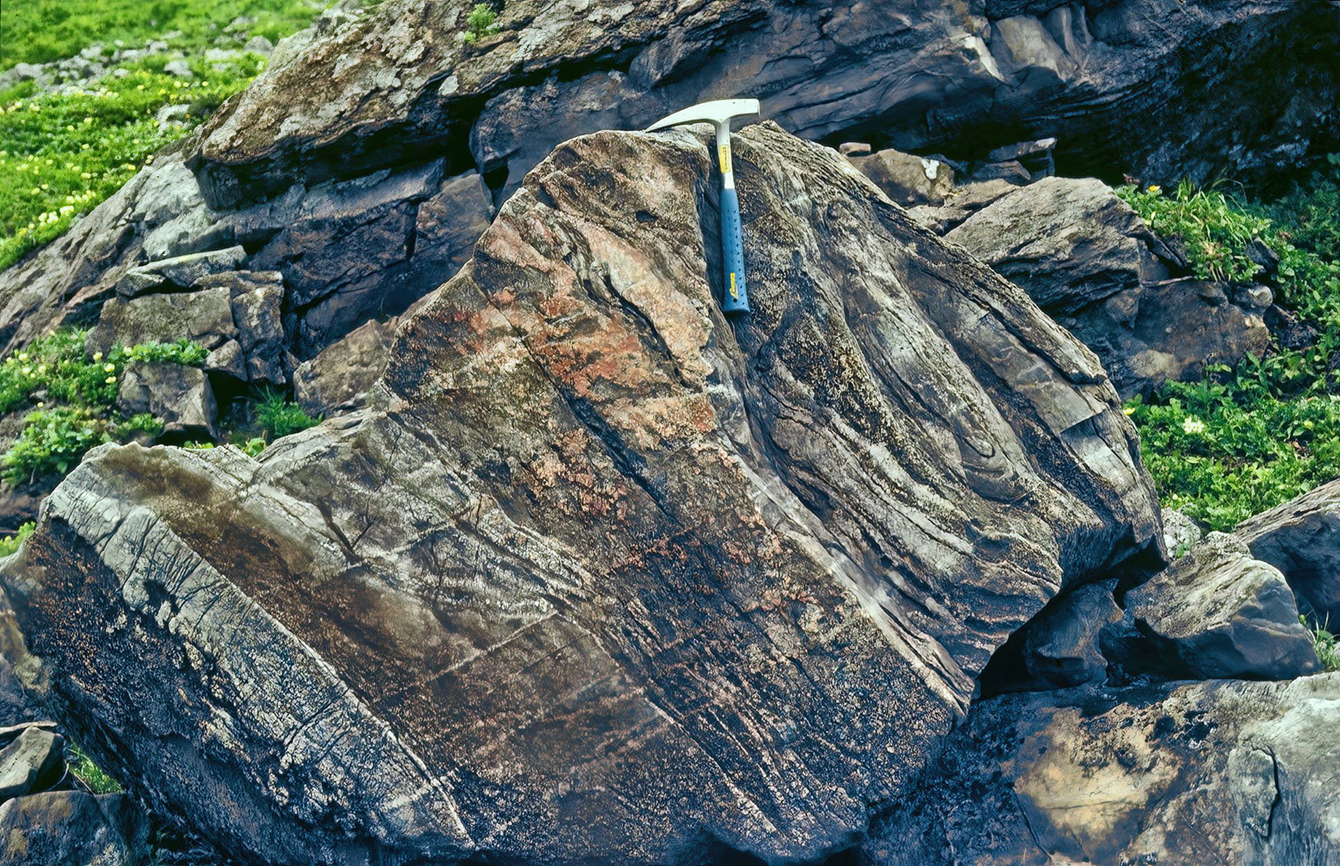 photo4.jpg