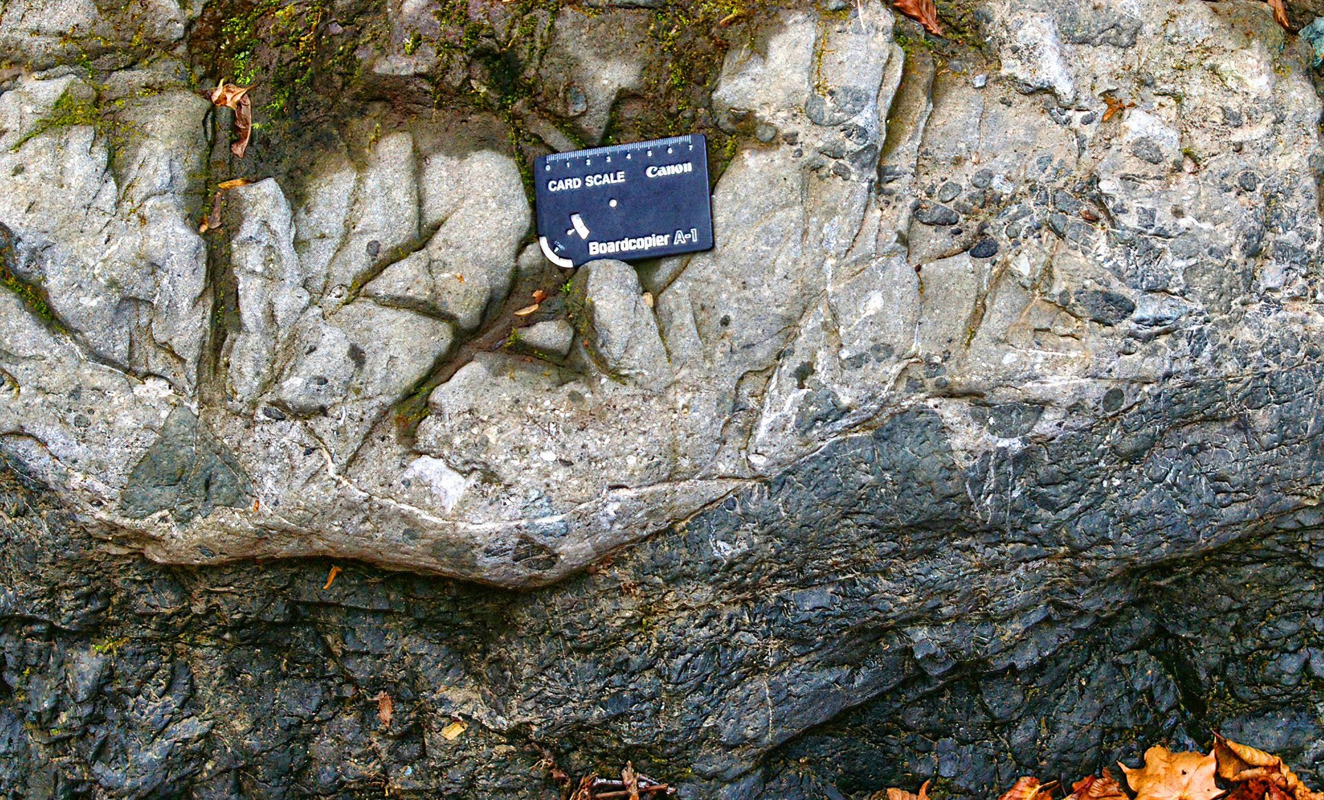 photo6.jpg