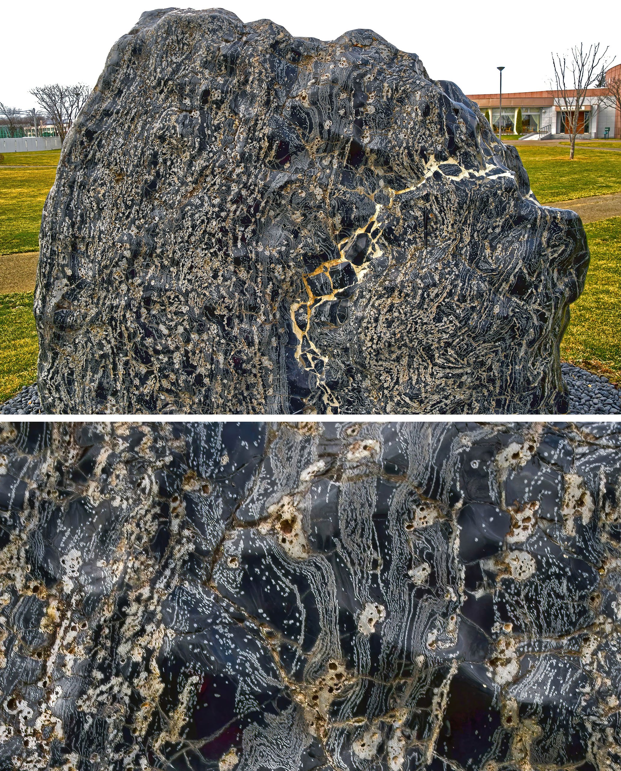 photo6.jpg