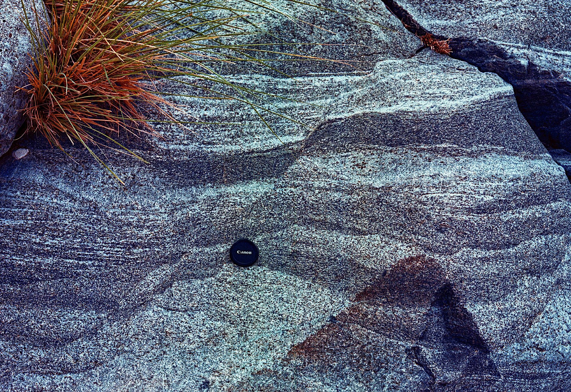 photo24.jpg